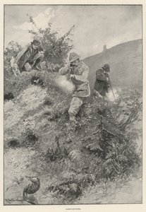 Chasse au lapin